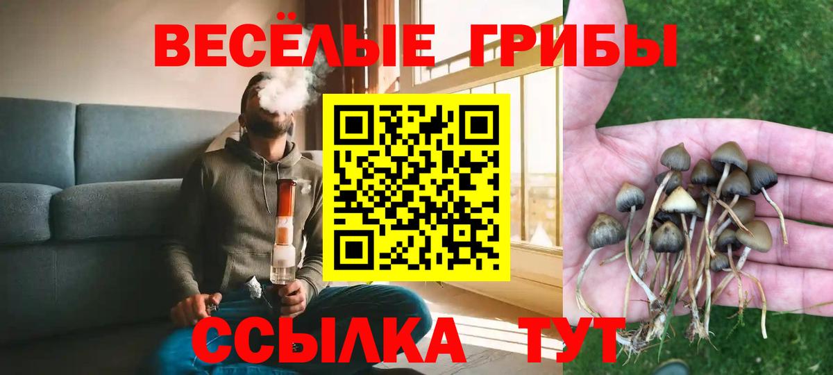 Псилоцибиновые грибы мухоморы  Вход с VPN  Елец 